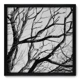 Quadro Decorativo - Galhos - 50cm x 50cm - 014qndcp - Allodi