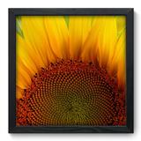 Quadro Decorativo - Girassol - 33cm x 33cm - 012qnfbp - Allodi