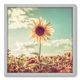 Quadro Decorativo - Girassol - 50cm x 50cm - 021qnfcb - Allodi