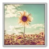 Quadro Decorativo - Girassol - 70cm x 70cm - 021qnfdb - Allodi