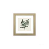 Quadro decorativo Green Leaf I 23x23cm zebrano Infinity