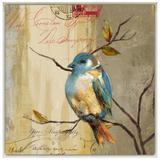 Quadro Decorativo Impressão Digital em Tela com Moldura Passarinho 30x30cm - Decore pronto