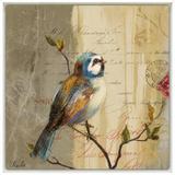Quadro Decorativo Impressão Digital em Tela com Moldura Passarinho II 30x30cm - Decore pronto