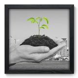 Quadro Decorativo - Meio Ambiente - 33cm x 33cm - 067qndbp - Allodi