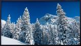 Quadro Decorativo Paisagem Montanha com Neve e Árvores 150x80cm - Decore pronto
