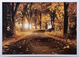 Quadro Decorativo Paisagem Rua Ladeada de Árvores 100x70cm - Decore pronto