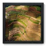 Quadro Decorativo - Plantação - 33cm x 33cm - 134qnpbp - Allodi