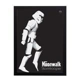 Quadro Decorativo Stormtrooper Star Wars 33x45cm - Cantaki