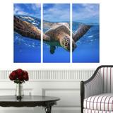Quadro Decorativo Tartaruga no Mar - Quadros mais