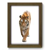 Quadro Decorativo - Tigre - 19cm x 25cm - 081qdsm - Allodi