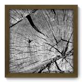 Quadro Decorativo - Tronco - 33cm x 33cm - 275qddm - Allodi