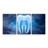 Quadro Odontologia Dentista Dente Estilizado Azul em 3 Telas - Bimper