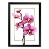 QUADRO ORQUÍDEA - TAMANHO A2 - Moldura Preta Sem Acrílico - Pôster no quadro