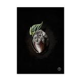QUADRO TRANSFORMAR PEDRAS EM SEMENTES - TAMANHO A3 - Placa Decorativa - MDF - Pôster no quadro