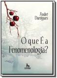 Que e a fenomenologia, o - Centauro