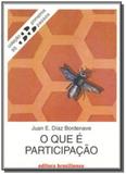 Que e participacao, o - vol.95 - colecao primeiros - Brasiliense