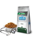 Ração Farmina Vet Life Feline Obesity 2kg Para Gatos Obesos 2 Kg Feline Formula Diet - Vet life - farmina