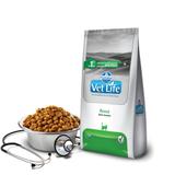 Ração Farmina Vet Life Feline Renal 2 Kg