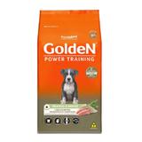 Ração Golden Power Cães Filhotes Frango e Arroz - 15kg
