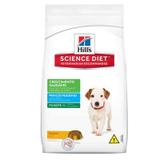 Ração Hills Filhote Pedaços Pequenos Crescimento Saudável 1kg - Hills