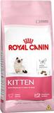 Ração Royal Canin Feline Kitten