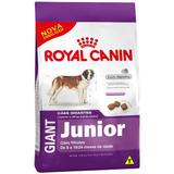 Ração Royal Canin Giant Junior