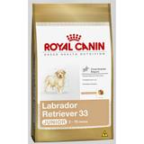 Ração Royal Canin Labrador Retriever Junior