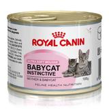 Ração Royal Canin Lata Baby Cat Instinctive