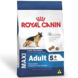 Ração Royal Canin Maxi Adult 5+ para Cães Raças Grandes com mais de 5 Anos- 15 Kg
