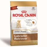 Ração Royal Canin Raça Labrador Retriever Filhote- 12 Kg