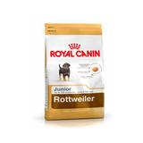 Ração Royal Canin Rottweiler Junior