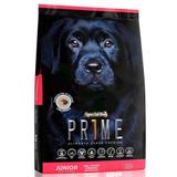 Ração Special Dog Prime Júnior Para Cães Filhotes Raças Grandes - Special dog - contém carinho