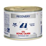 Recovery Royal Canin Veterinary Ração Lata Cães E Gatos 195 G