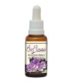 Reequilíbrio dos Chakras - Bio Florais - 37 ml
