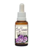 Reequilíbrio dos Chakras - Bio Florais - 37 ml