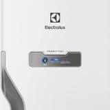 Ref 310l electrolux f.free 2p selo procel a - tf39