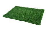 Refil de Grama Extra Grande Pet Park - Chalesco
