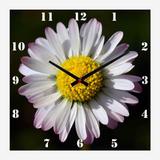 Relógio de Parede para Cozinha Flor Margarida Branca 30x30cm - Decore pronto