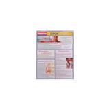 Resumão - DPOC - Doença Pulmonar Obstrutiva Crônica - Grahn