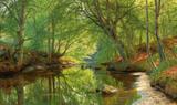 Riacho na Floresta - Monsted Tela Baby Para Quadro - Santhatela