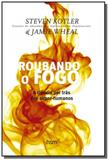 Roubando o fogo - hsm