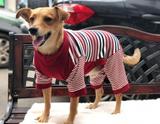 Roupa Cachorro e Gato Casaco Macacão Listras - Vipipes