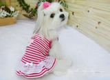 Roupa Cachorro Vestido Cupcake OH MY DOG - Oh my dog!