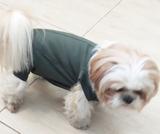 Roupa pós cirúrgica pet para machos e fêmeas 02 - King of pets