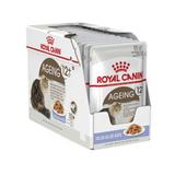 Royal Canin Sachês Úmidos Ageing 12+ Kit 24 Unidades 85g Cada