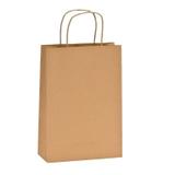 Sacola Kraft para Lembrancinhas 12x9x22 kit com 10 unid - Rn embalagens