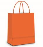 Sacolas para Presentes Laranja Pequena 10 unidades Cromus