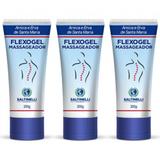 Saltinelli Flexogel Arnica Erva Santa Maria Gel 200g (Kit C/03)
