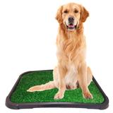 Sanitário Canino Banheiro Grande Para Cães Com Tapete Grama* - Bom amigo pet