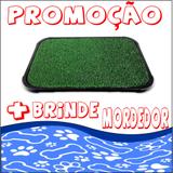 Sanitário Canino Higiênico Banheiro Para Cães Tapete +Brinde - Rb